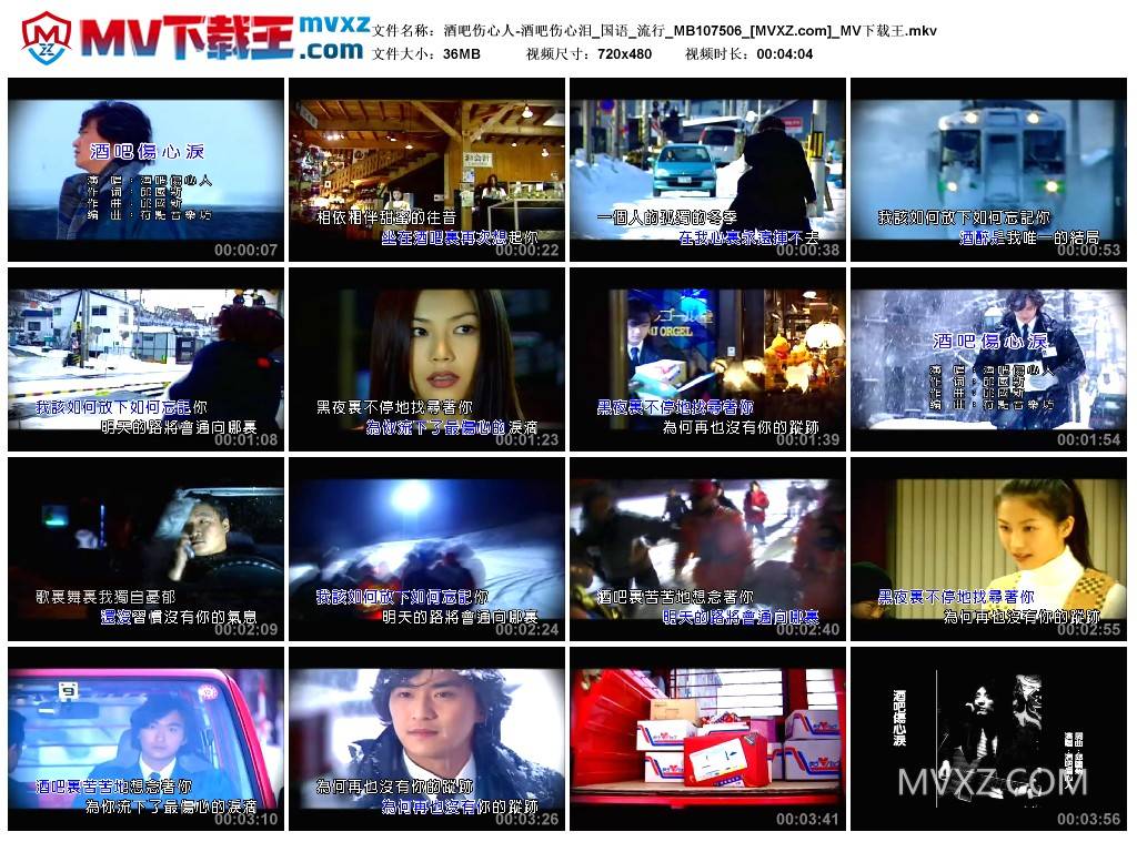 酒吧伤心人-酒吧伤心泪_国语_流行_MB107506